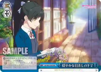 (簽名)LSP/W92-100R RRR 穏やかな日差しの下で