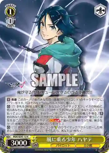 MDE/SE45-12 N 風に乗る少年 ハヤテ