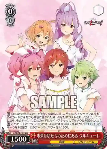 MDE/SE45-29 N 未来は私たちのためにある ワルキューレ