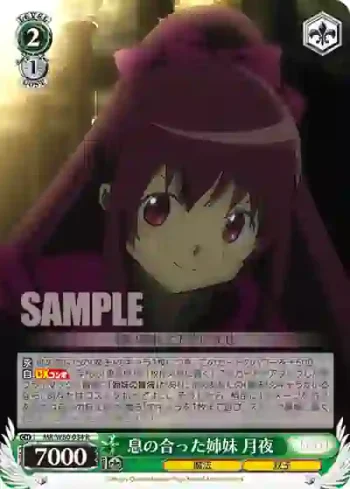 MR/W80-034 R 息の合った姉妹 月夜