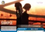 MR/W80-098R RRR 願いの対価