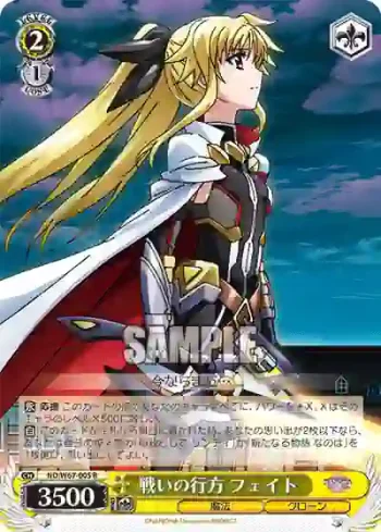 ND/W67-005 R 戦いの行方 フェイト
