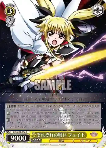 ND/W67-006 R それぞれの戦い フェイト
