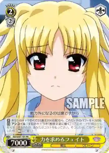 ND/W67-101 PR 力を求めるフェイト