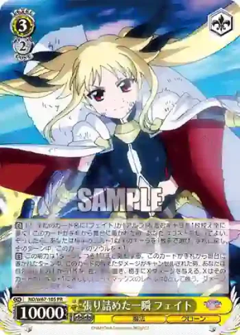 ND/W67-105 PR 張り詰めた一瞬 フェイト