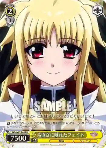 ND/W67-P01 PR 素直さに触れたフェイト