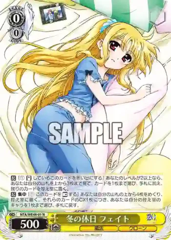 NTA/WE48-01 N 冬の休日 フェイト