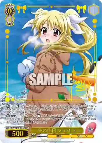 NTA/WE48-01LCR LCR 冬の休日 フェイト