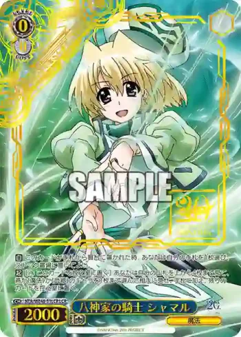NTA/WE48-51LCR LCR 八神家の騎士 シャマル