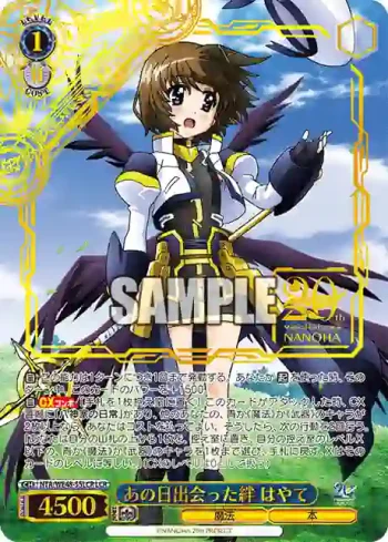 NTA/WE48-55LCR LCR あの日出会った絆 はやて