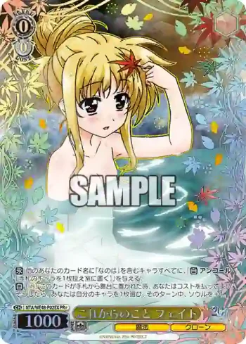 NTA/WE48-P02EX PR+ これからのこと フェイト
