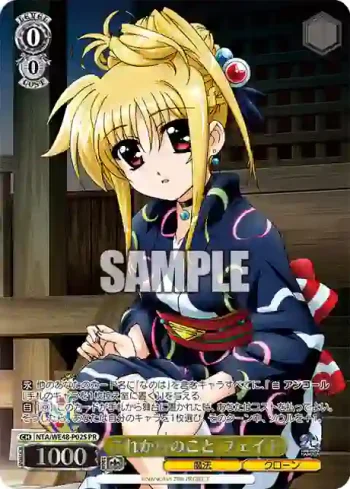 NTA/WE48-P02S PR これからのこと フェイト