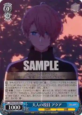 OSK/S107-085 C 大人の役目 アクア