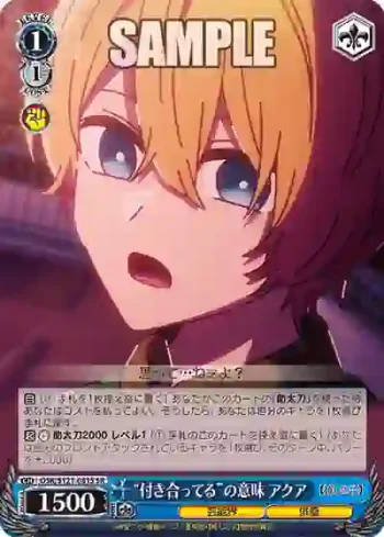 OSK/S121-081S SR “付き合ってる”の意味 アクア