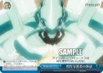 OVL/S99-100  男性守護者の休息