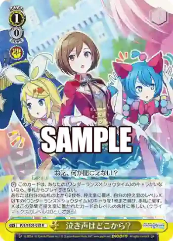 PJS/S109-018 R 泣き声はどこから？