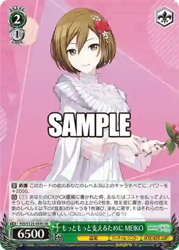 PJS/S125-054S SR もっともっと支えるために MEIKO