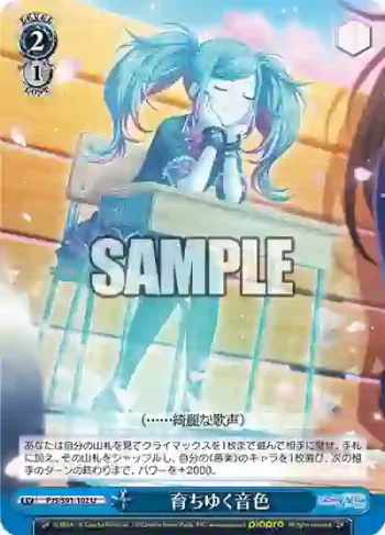 PJS/S91-102 U 育ちゆく音色