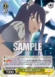 PRD/W100-012S SR 王都決戦 シオリ