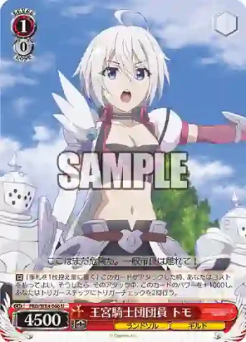 PRD/W84-066 U 王宮騎士団団員 トモ