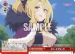 PRD/W84-082R RRR 争いを望む者