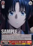RKN/S115-063S SR 止められない闘い 神谷 薫
