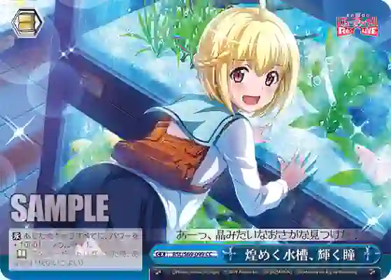 rsl_s69_099 RSL/S69-099 CC 煌めく水槽、輝く瞳