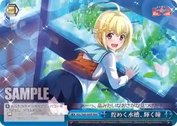 RSL/S69-099R RRR 煌めく水槽、輝く瞳