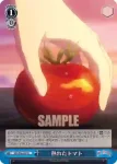 RSL/S98-096  魂のレヴュー