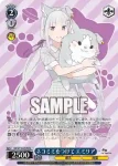RZ/S116-P06 PR ミニレム