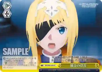 SAO/S65-024 CC 独立の宣言