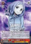 SAO/S65-061 C 思いがけぬ限界 アドミニストレータ