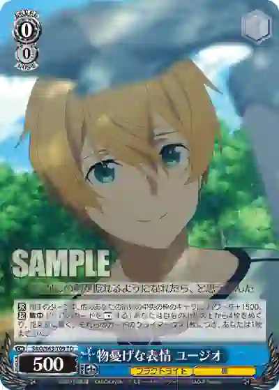 sao_s65_t09 SAO/S65-T09 TD 物憂げな表情 ユージオ