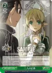 SAO/S71-052 C 二人の正体