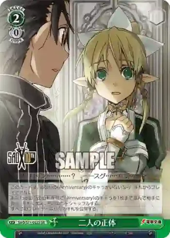 SAO/S71-052S SR 二人の正体