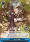SAO/S71-095S SR 街に迷う猫たち
