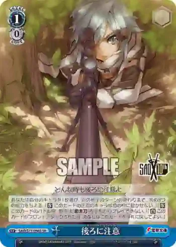 SAO/S71-096S SR 後ろに注意