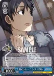 SAO/S71-P05S PR 拡張現実の死闘