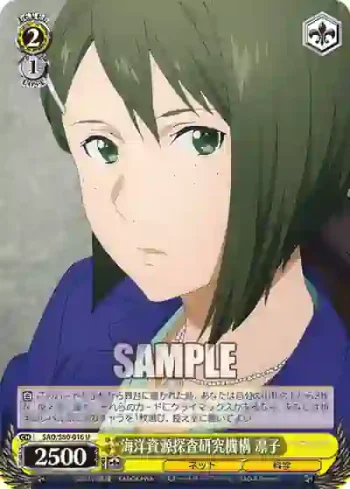SAO/S80-016 U 海洋資源探査研究機構 凛子