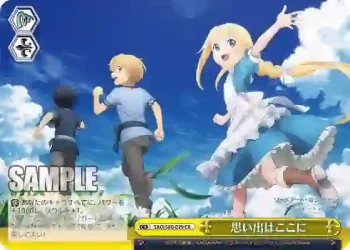 SAO/S80-029 CR 思い出はここに