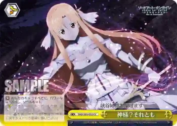 SAO/S80-032 CC 神様？それとも