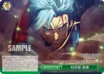 SAO/S80-056 R 記憶に生きるアドミニストレータ