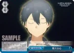SAO/S80-098R RRR 《ウルティマラティオ・ヘカートⅡ》