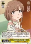 SBY/W136-014S SR 不便な生活 梓川 花楓
