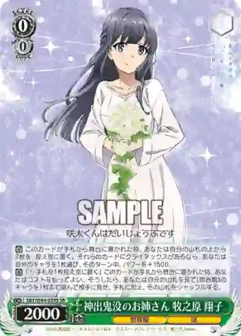 SBY/W64-029S SR 神出鬼没のお姉さん 牧之原 翔子