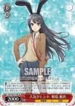 SBY/W64-T12S SR 人気タレント 桜島 麻衣