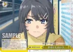 SBY/W77-021 CR 幸せにしたい人