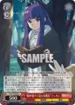 SFN/S128-058S SR 長い旅路 アイゼン