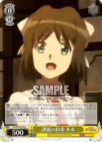 SG/W70-014 C 課題の約束 未来