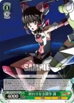 SG/W70-030 R 終わりなき闘争 調
